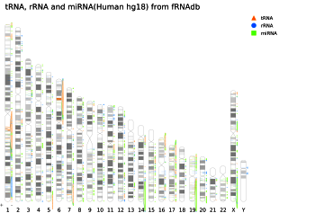 Sample idiographica generated idiogram (whole shot)